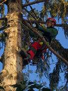 Kölner Hausmeisterdienst Frank Reuter - GALLERY