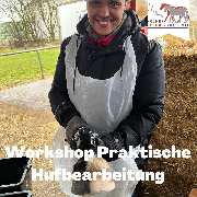 Kölner Pferde-Akademie - 104