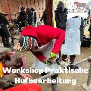 Kölner Pferde-Akademie - 108