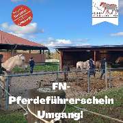 Kölner Pferde-Akademie - 122