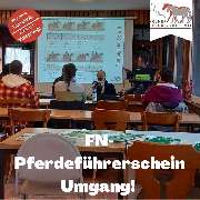 Kölner Pferde-Akademie - 123
