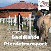 Kölner Pferde-Akademie - 13