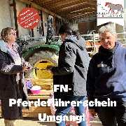 Kölner Pferde-Akademie - 131