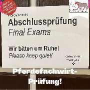 Kölner Pferde-Akademie - 141
