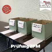 Kölner Pferde-Akademie - 142