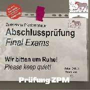 Kölner Pferde-Akademie - 143