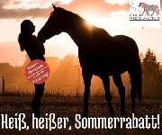 Kölner Pferde-Akademie - 175
