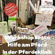 Kölner Pferde-Akademie - 23