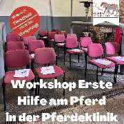 Kölner Pferde-Akademie - 24