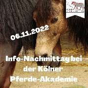 Kölner Pferde-Akademie - 25