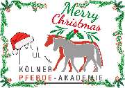 Kölner Pferde-Akademie - 36