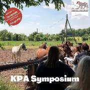 Kölner Pferde-Akademie - 44