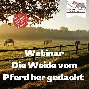 Kölner Pferde-Akademie - 47