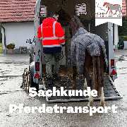 Kölner Pferde-Akademie - 49