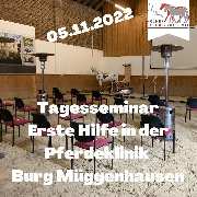 Kölner Pferde-Akademie - 5