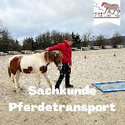 Kölner Pferde-Akademie - 54