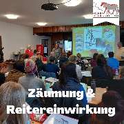 Kölner Pferde-Akademie - 59