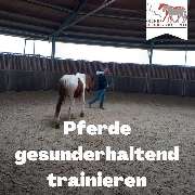 Kölner Pferde-Akademie - 63