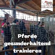 Kölner Pferde-Akademie - 64