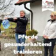 Kölner Pferde-Akademie - 65