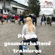 Kölner Pferde-Akademie - 66