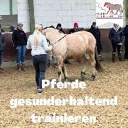 Kölner Pferde-Akademie - 68