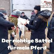 Kölner Pferde-Akademie - 73