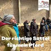 Kölner Pferde-Akademie - 76