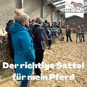 Kölner Pferde-Akademie - 78