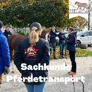 Kölner Pferde-Akademie - 8