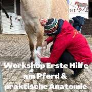 Kölner Pferde-Akademie - 80