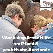 Kölner Pferde-Akademie - 83