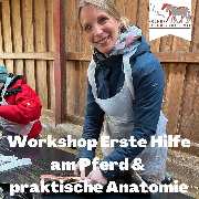Kölner Pferde-Akademie - 89