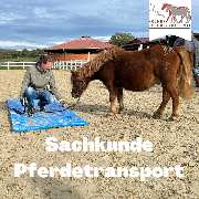 Kölner Pferde-Akademie - 9