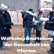 Kölner Pferde-Akademie - 91