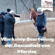 Kölner Pferde-Akademie - 92