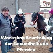Kölner Pferde-Akademie - 95