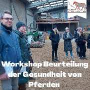 Kölner Pferde-Akademie - 96