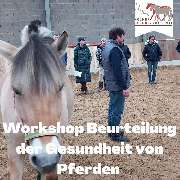 Kölner Pferde-Akademie - 97