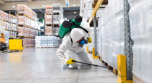 Kohlhaas & Honecker | Schädlingsbekämpfung Alzey - …