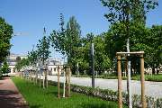 Kohout's Garten- u. Landschaftsbau GmbH - Dresden am militärhistorischen Museum