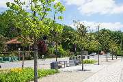 Kohout's Garten- u. Landschaftsbau GmbH - Dresden die sächsischeWeinstrasse inPilnitz