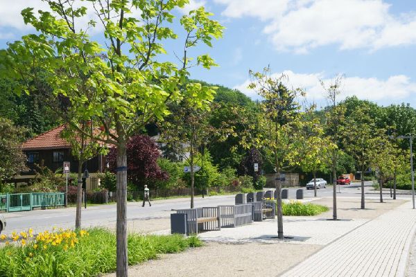 Kohout's Garten- u. Landschaftsbau GmbH - Dresden  …