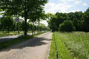 Kohout's Garten- u. Landschaftsbau GmbH - Dresden die Stuebelallee am großen Garten
