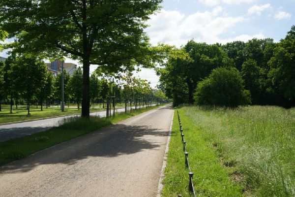 Kohout's Garten- u. Landschaftsbau GmbH - Dresden  …