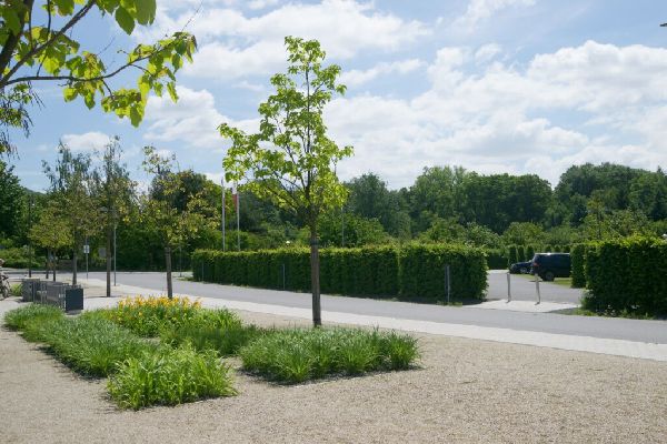 Kohout's Garten- u. Landschaftsbau GmbH - Parkfläc …