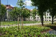 Kohout's Garten- u. Landschaftsbau GmbH - Polizeidirektion Dresden 1