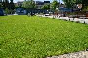 Kohout's Garten- u. Landschaftsbau GmbH - Rollrasen im Stadtbad Radeberg