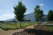 Kohout's Garten- u. Landschaftsbau GmbH - Sachsenfahnen in Kamenz 1