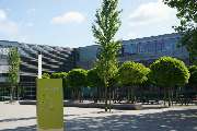 Kohout's Garten- u. Landschaftsbau GmbH - Sportschulzentrum Ostragehege in Dresden 1